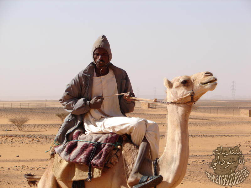 صوره من شمال السودان