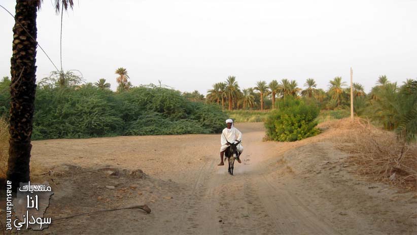 دنقلا العجوز Old Dongola