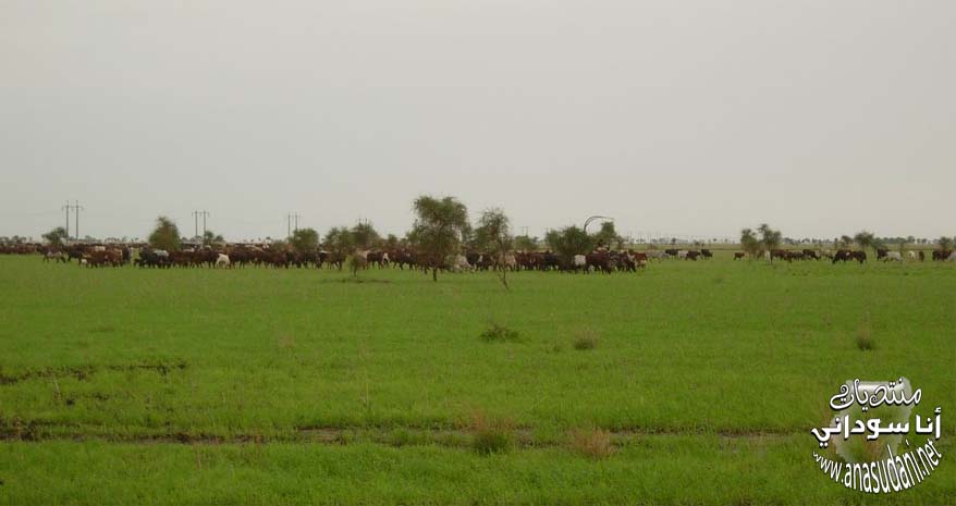 الطبيعه في السودان