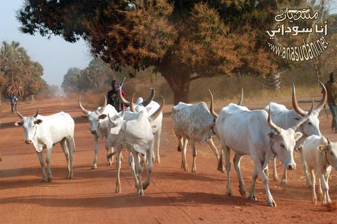 الطبيعة السودانية