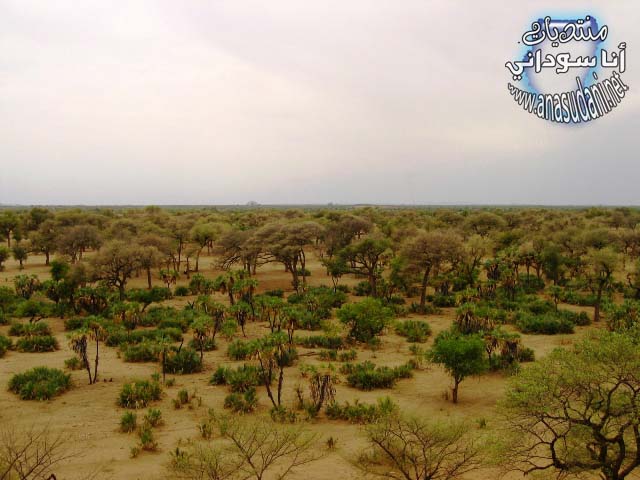 الطبيعة السودانية