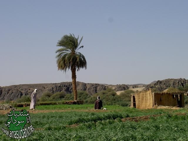 الطبيعة السودانية 9