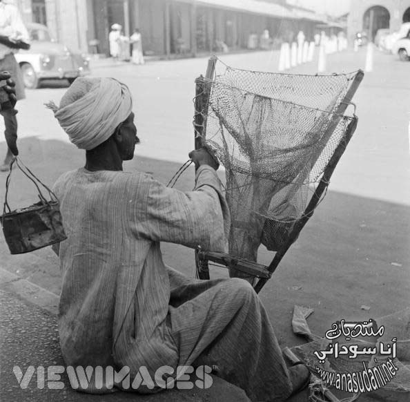 امدرمان 1950